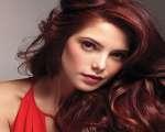 Ashley Greene habla de Crepusculo